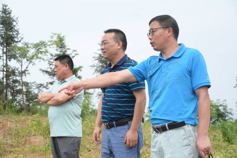 QQ图片20190710164444